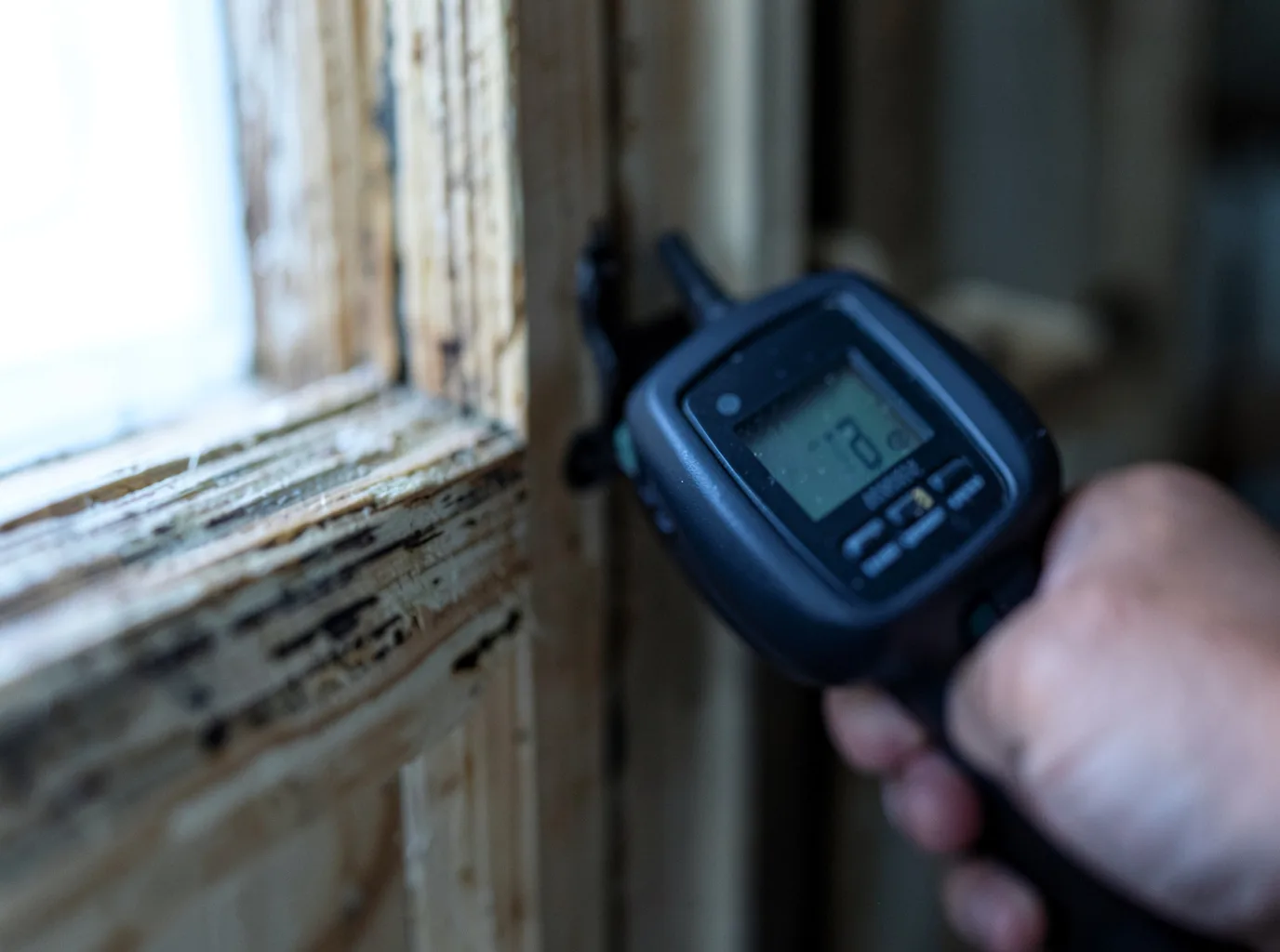Moisture Inspection And Documentation in Ogden, UT